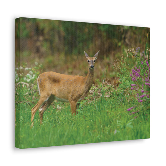 Copy of Copy of Copy of Copy of Copy of Copy of Copy of Copy of Canvas Gallery Wraps