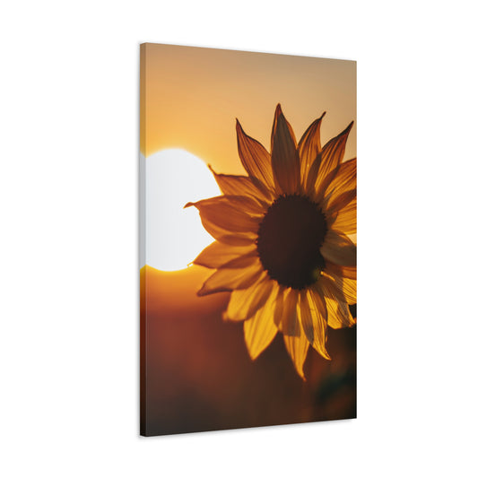 Sun & Sunflower-Canvas Gallery Wraps