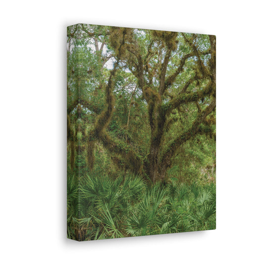 Copy of Copy of Canvas Gallery Wraps