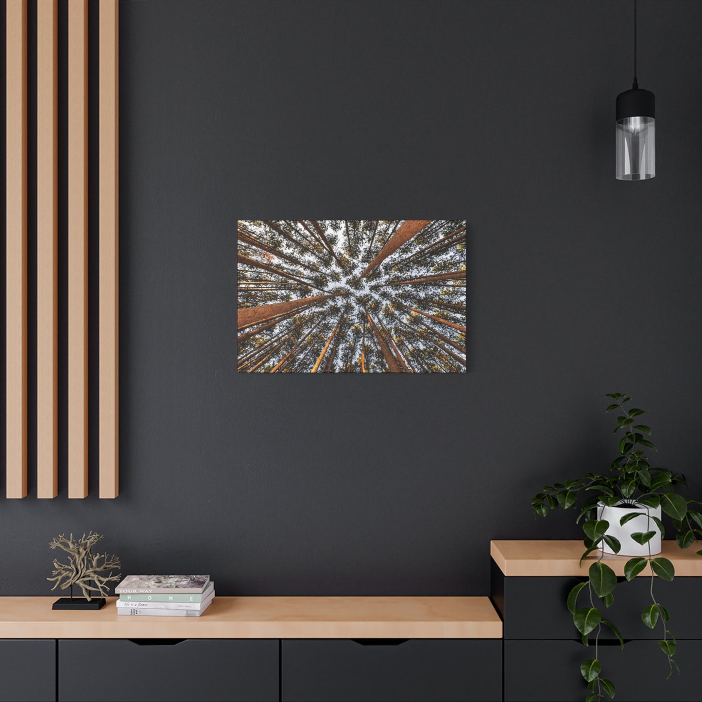 Forest Canopy Canvas Print — Upward View of Tall Trees Matte Stretched Wall Art