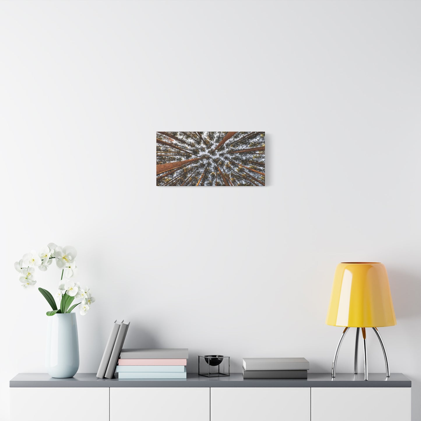Forest Canopy Canvas Print — Upward View of Tall Trees Matte Stretched Wall Art
