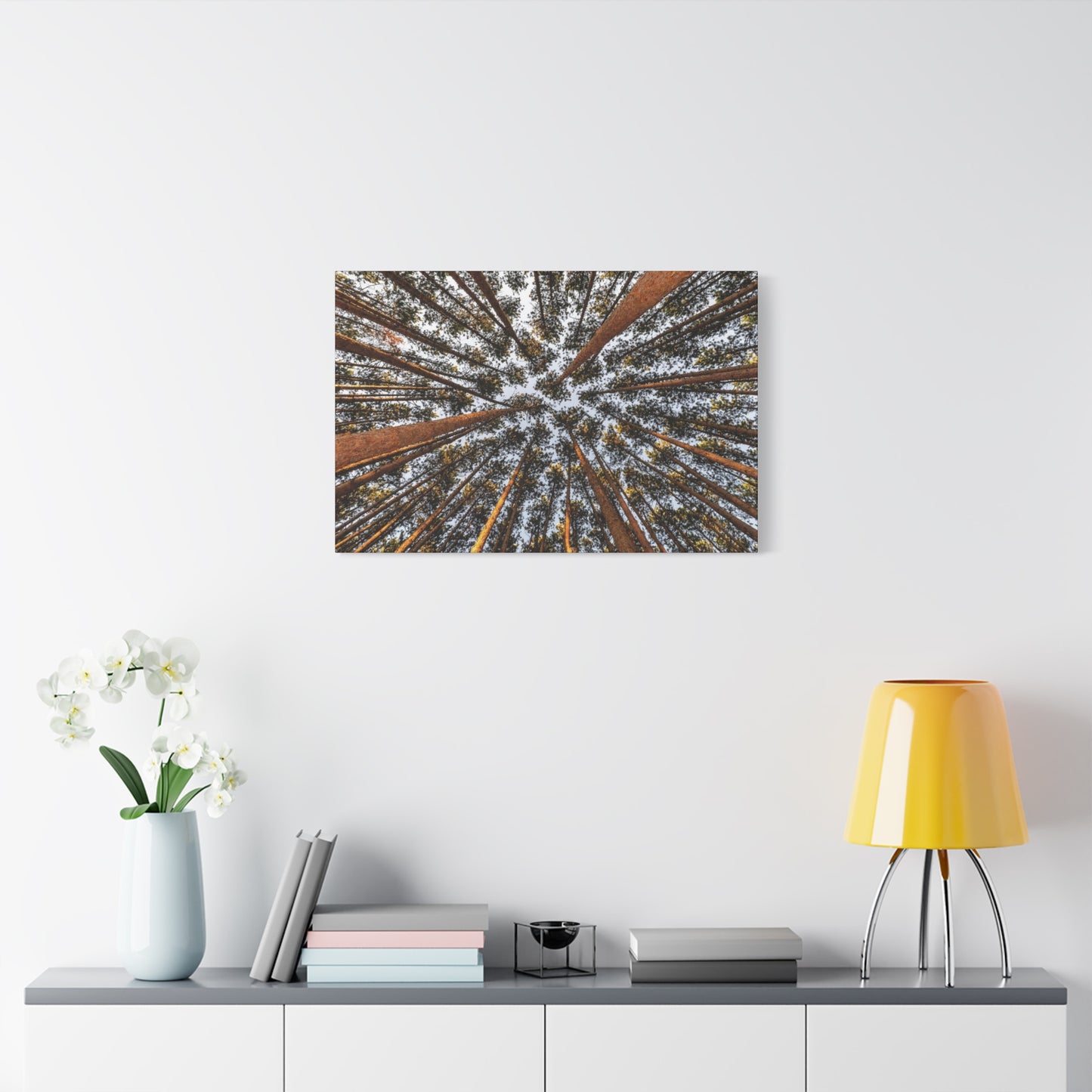 Forest Canopy Canvas Print — Upward View of Tall Trees Matte Stretched Wall Art
