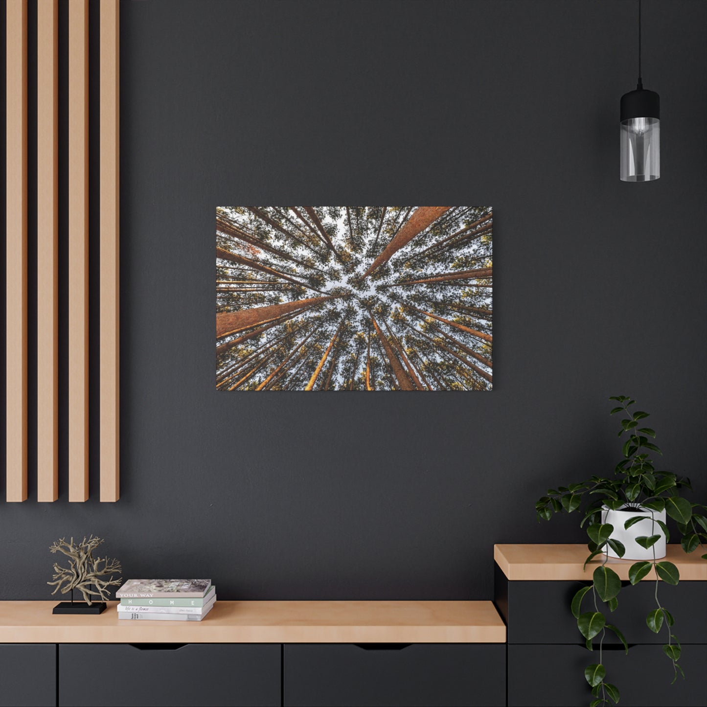 Forest Canopy Canvas Print — Upward View of Tall Trees Matte Stretched Wall Art