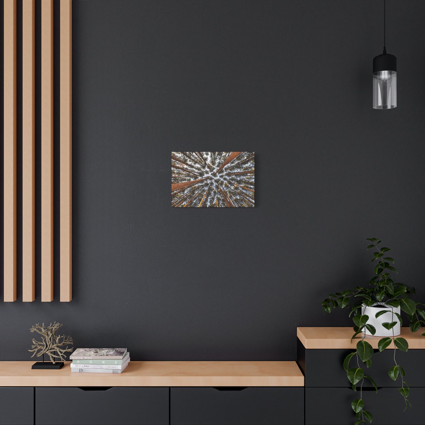 Forest Canopy Canvas Print — Upward View of Tall Trees Matte Stretched Wall Art