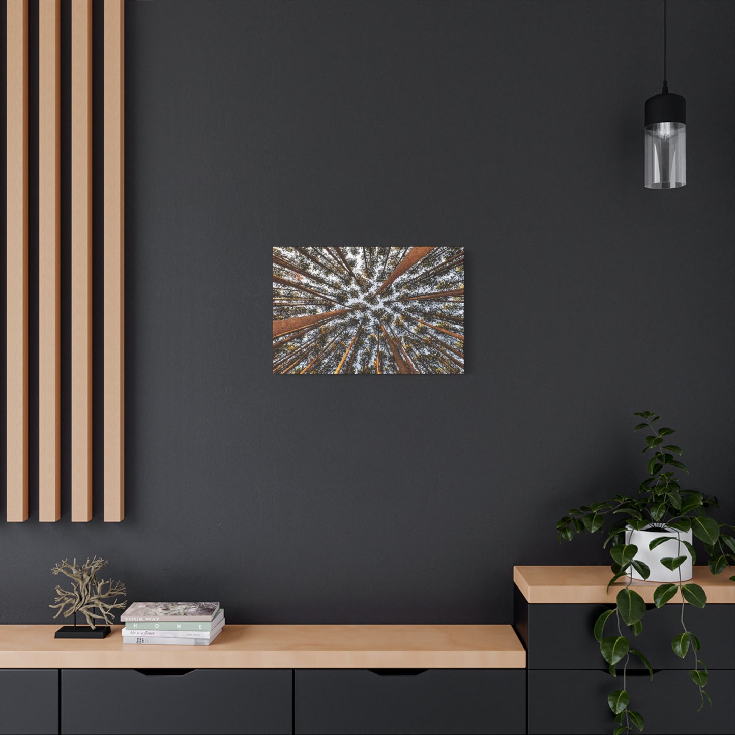 Forest Canopy Canvas Print — Upward View of Tall Trees Matte Stretched Wall Art