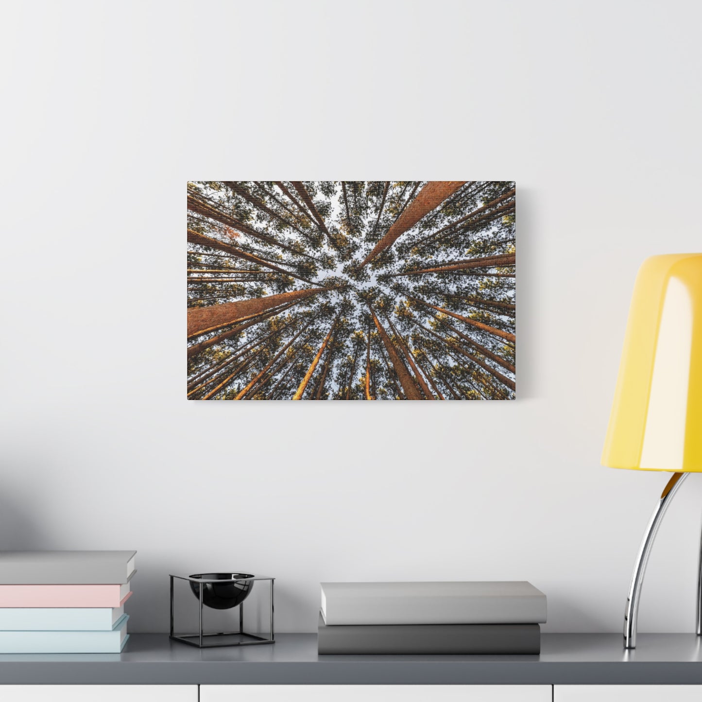 Forest Canopy Canvas Print — Upward View of Tall Trees Matte Stretched Wall Art