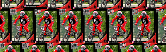 BMX ROX Trading Card Sticker (your photo here)